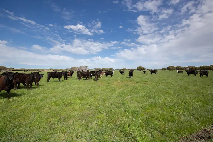 Fourth view of Homely rural property listing, Lot 100 Old Naracoorte Road, Robe SA 5276
