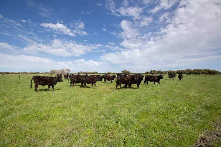 Seventh view of Homely rural property listing, Lot 100 Old Naracoorte Road, Robe SA 5276