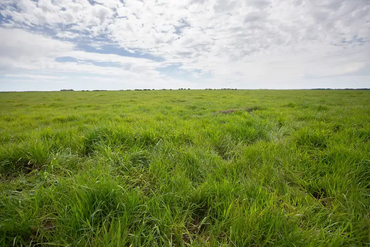 Second view of Homely rural property listing, Sec 135 Old Robe Road, Kingston Se SA 5275