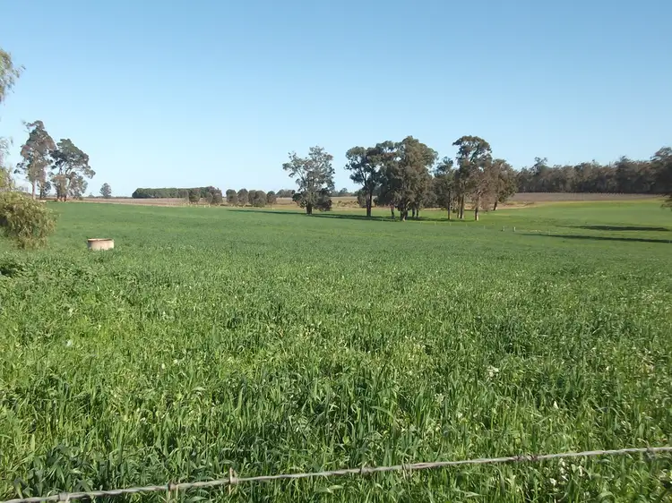 189 Ralph Road, Manjimup WA 6258