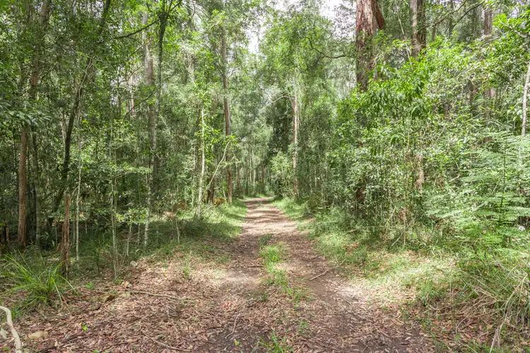 Sixth view of Homely land listing, 294 Kidd Road, Pomona QLD 4568