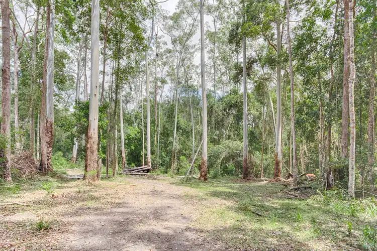 Seventh view of Homely land listing, 294 Kidd Road, Pomona QLD 4568