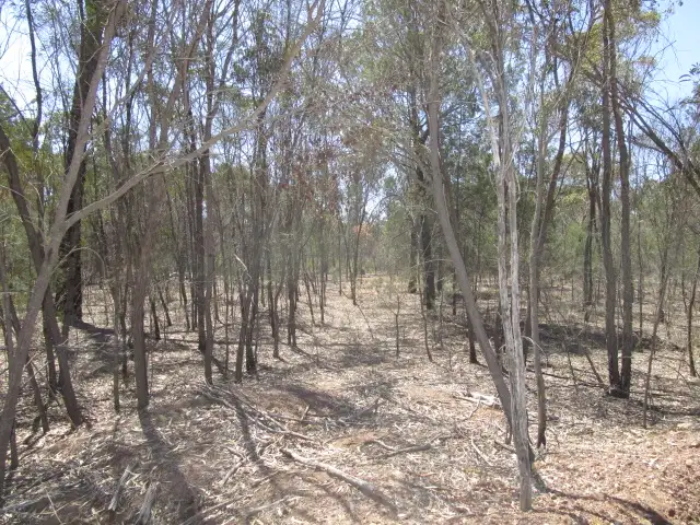 LOT 35 McKEE DRIVE, Tara QLD 4421