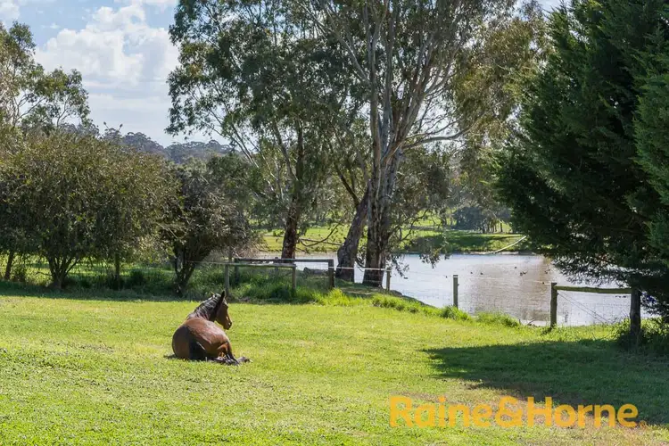Main view of Homely house listing, 41 Banksia Road, Oakbank SA 5243