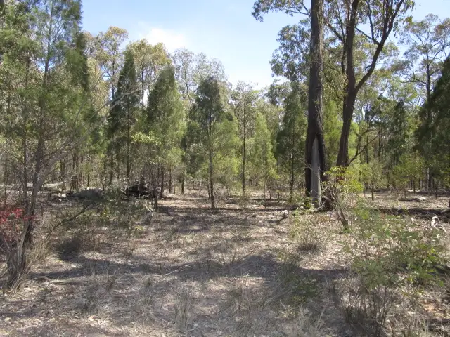 LOT 117 LEWINGTON ROAD, Tara QLD 4421