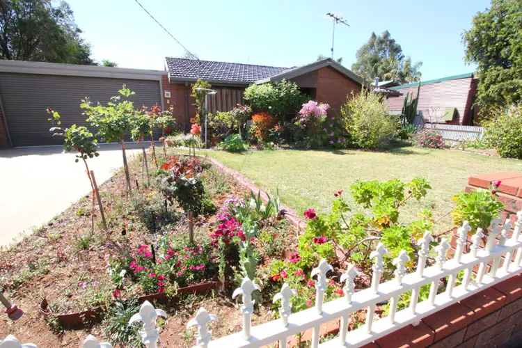 99 Adams Street, Wentworth NSW 2648