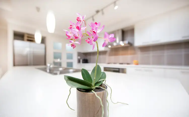 Fifth view of Homely house listing, 12 Queenscliff Place, Mardi NSW 2259