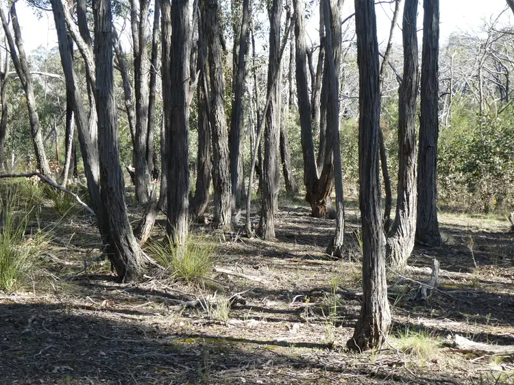 Main view of Homely rural property listing, Lot 5 Paynes Bridge Road, Dereel VIC 3352