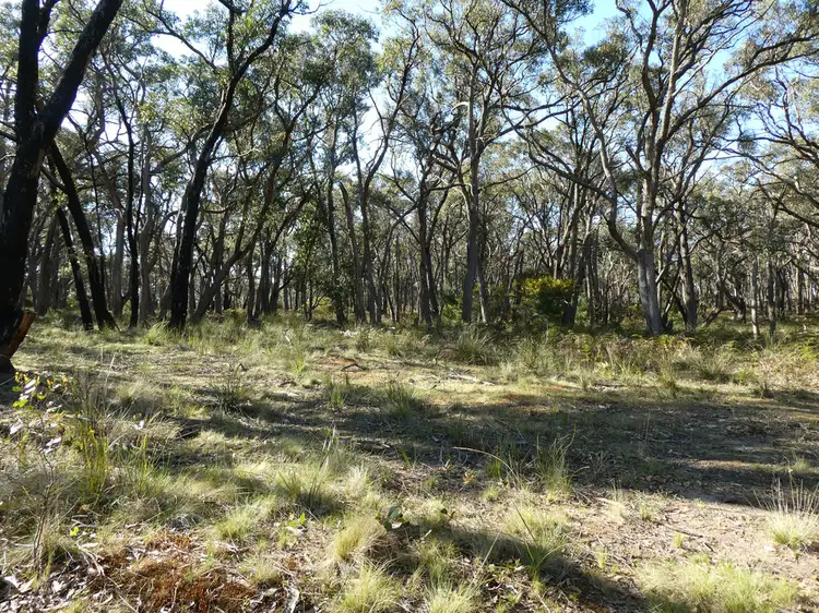 Second view of Homely rural property listing, Lot 5 Paynes Bridge Road, Dereel VIC 3352