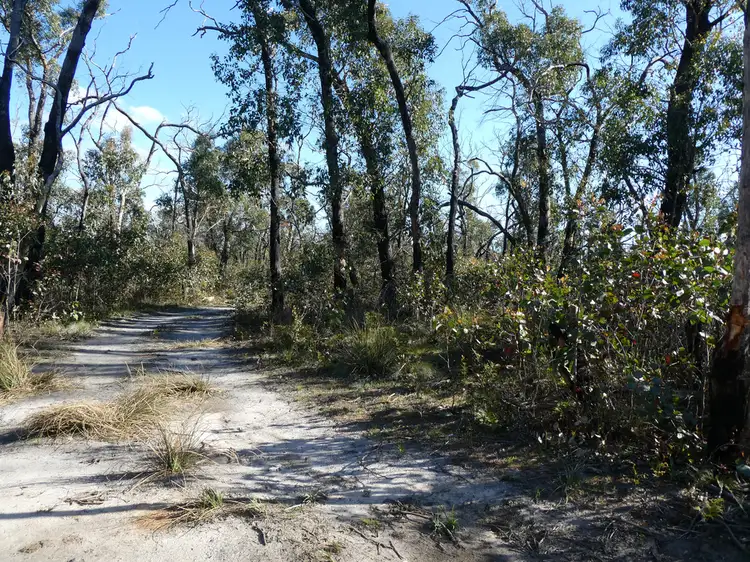 Third view of Homely rural property listing, Lot 5 Paynes Bridge Road, Dereel VIC 3352