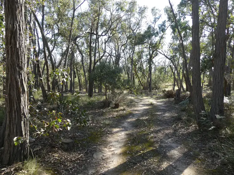 Fourth view of Homely rural property listing, Lot 5 Paynes Bridge Road, Dereel VIC 3352