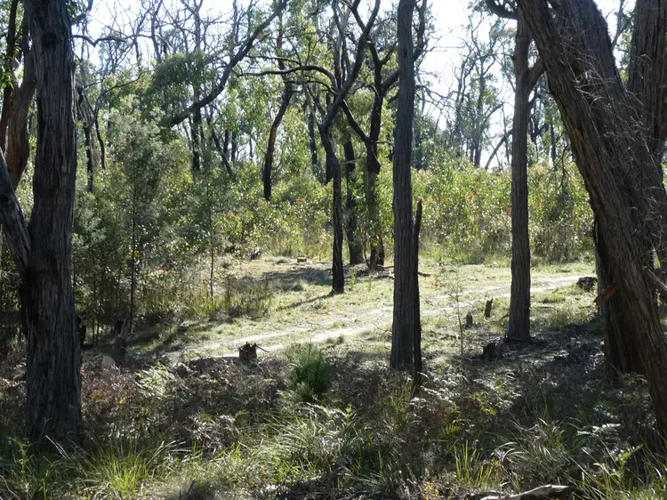 Fifth view of Homely rural property listing, Lot 5 Paynes Bridge Road, Dereel VIC 3352