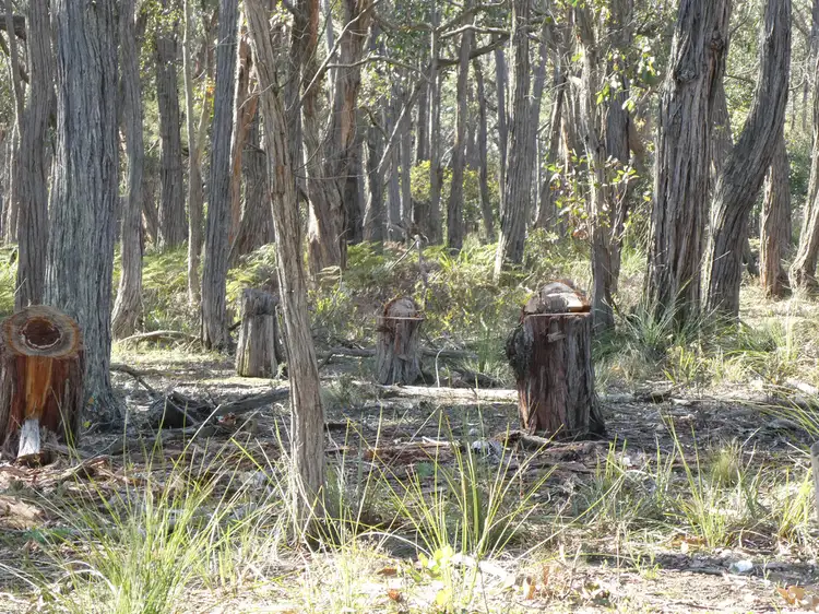Sixth view of Homely rural property listing, Lot 5 Paynes Bridge Road, Dereel VIC 3352