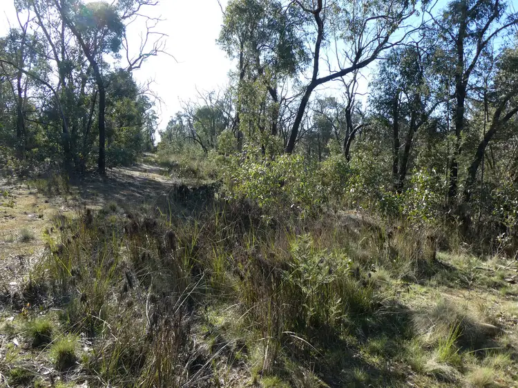 Seventh view of Homely rural property listing, Lot 5 Paynes Bridge Road, Dereel VIC 3352