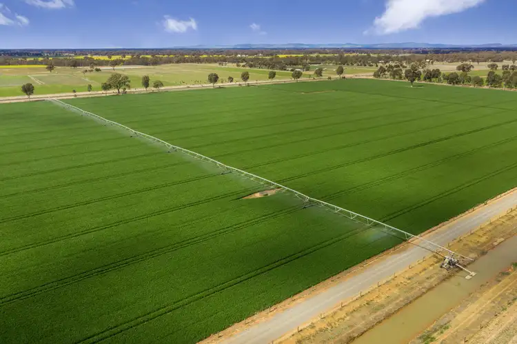 Main view of Homely rural property listing, 305 & 320 Ross Road, Arcadia VIC 3631