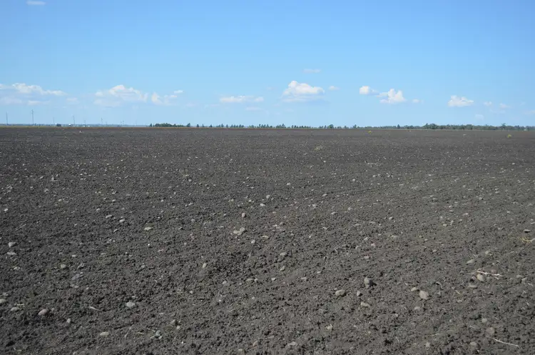 Third view of Homely rural property listing, 15704 Warrego Highway, Bowenville QLD 4404