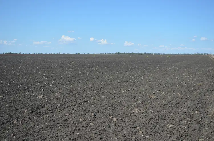 Fourth view of Homely rural property listing, 15704 Warrego Highway, Bowenville QLD 4404