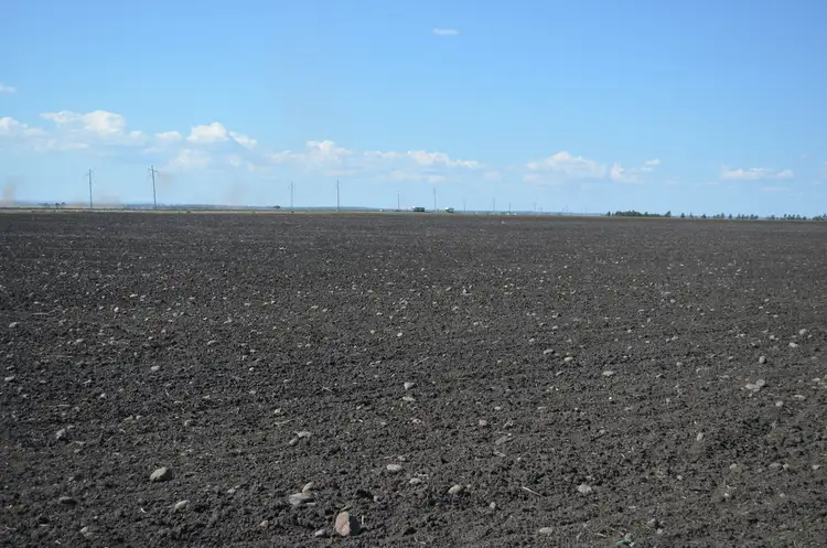 Fifth view of Homely rural property listing, 15704 Warrego Highway, Bowenville QLD 4404