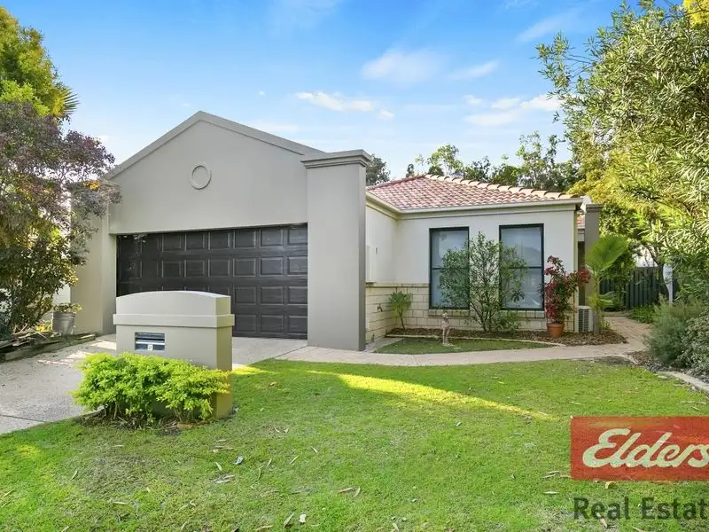 Main view of Homely house listing, 17 Blackwattle Circuit, Arundel QLD 4214
