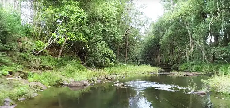 Fourth view of Homely house listing, 52 Thorburn Street, Nimbin NSW 2480