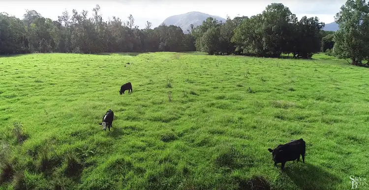 Seventh view of Homely house listing, 52 Thorburn Street, Nimbin NSW 2480