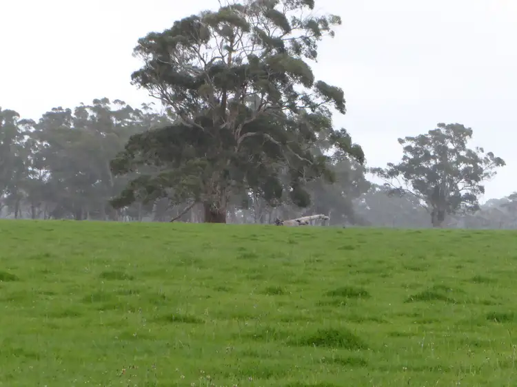 Main view of Homely rural property listing, 218 Thorburns Road, Laang VIC 3265
