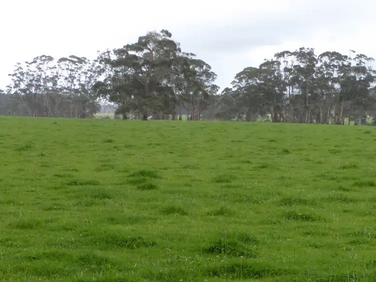 Second view of Homely rural property listing, 218 Thorburns Road, Laang VIC 3265
