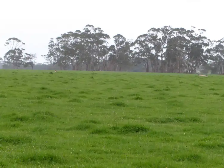 Seventh view of Homely rural property listing, 218 Thorburns Road, Laang VIC 3265