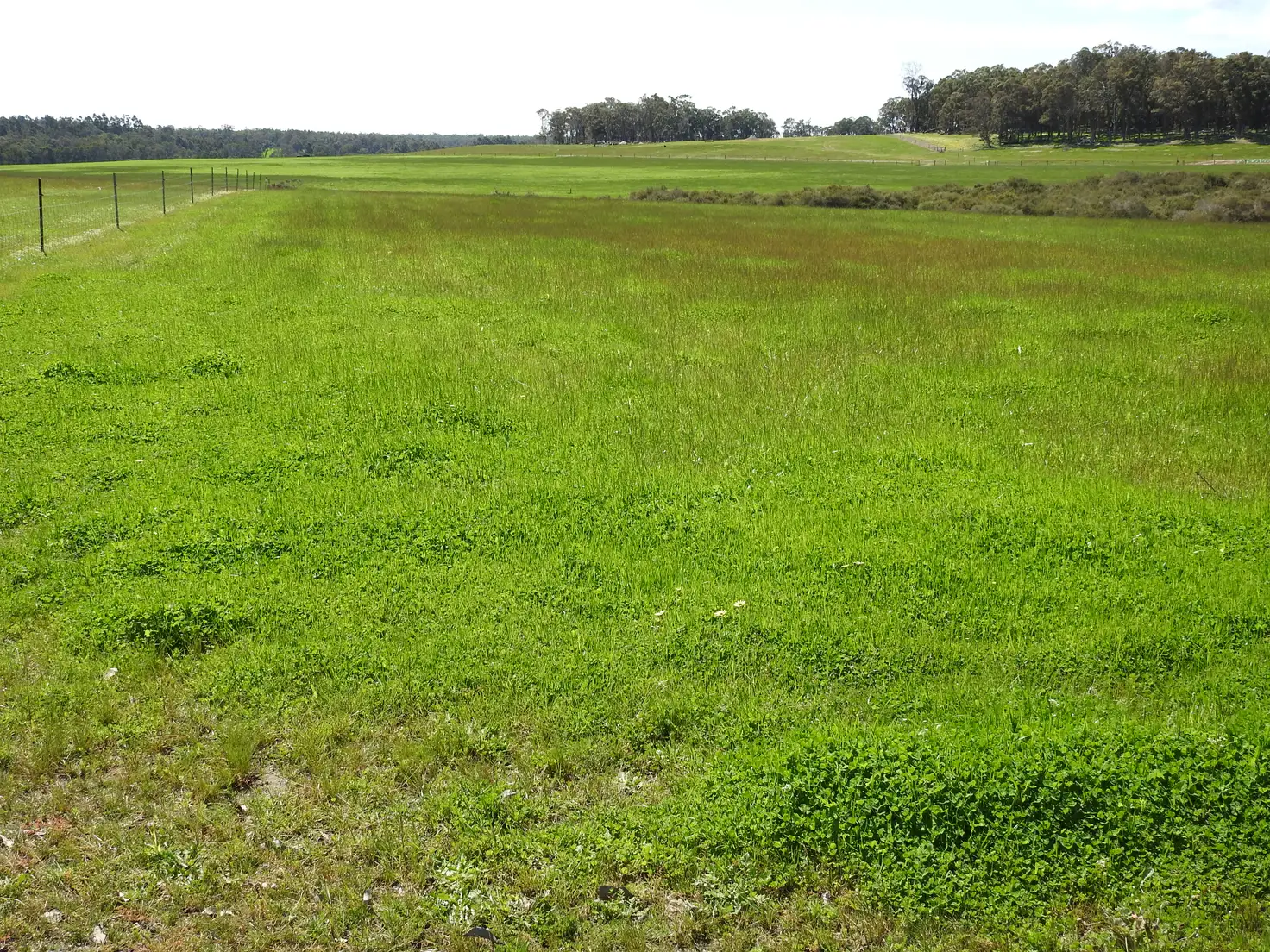 Main view of Homely rural property listing, Lot 104 Bessell Road, Rosa Brook WA 6285
