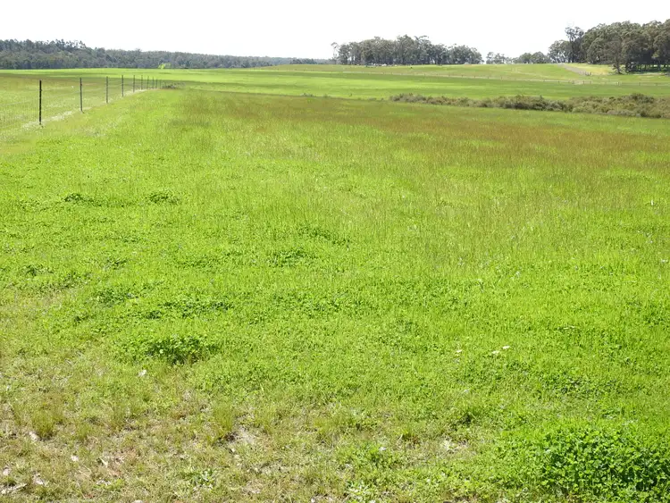 Fourth view of Homely rural property listing, Lot 104 Bessell Road, Rosa Brook WA 6285