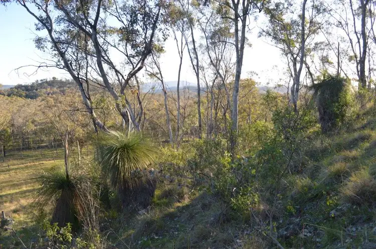 Fourth view of Homely rural property listing, "Janala" Baradine Road, Coonabarabran NSW 2357