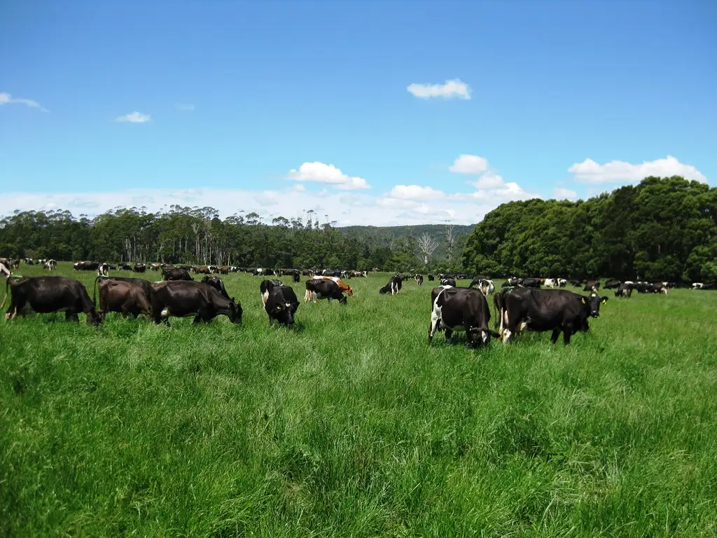 Main view of Homely rural property listing, 98 Donalds Road & 608 Roger River Road, Roger River TAS 7330