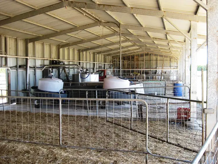 Third view of Homely rural property listing, 98 Donalds Road & 608 Roger River Road, Roger River TAS 7330