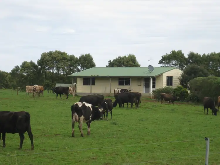 Seventh view of Homely rural property listing, 98 Donalds Road & 608 Roger River Road, Roger River TAS 7330