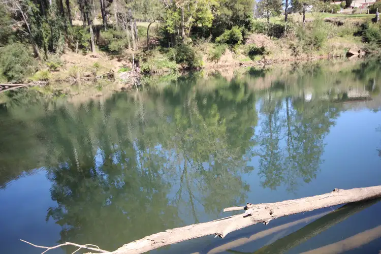 Fifth view of Homely rural property listing, 265 Rocky Falls Road, Ellenborough NSW 2446