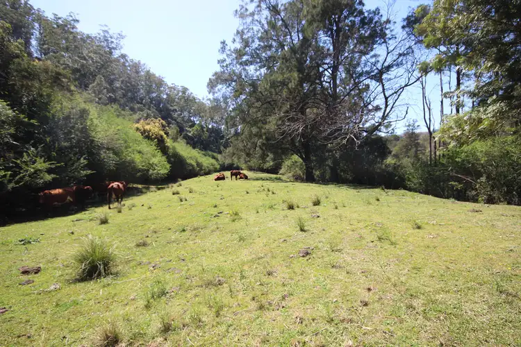 Seventh view of Homely rural property listing, 265 Rocky Falls Road, Ellenborough NSW 2446