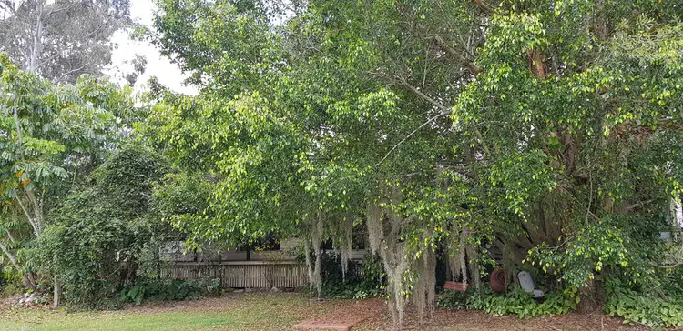 Main view of Homely house listing, 2 HAWK STREET, Moodlu QLD 4510