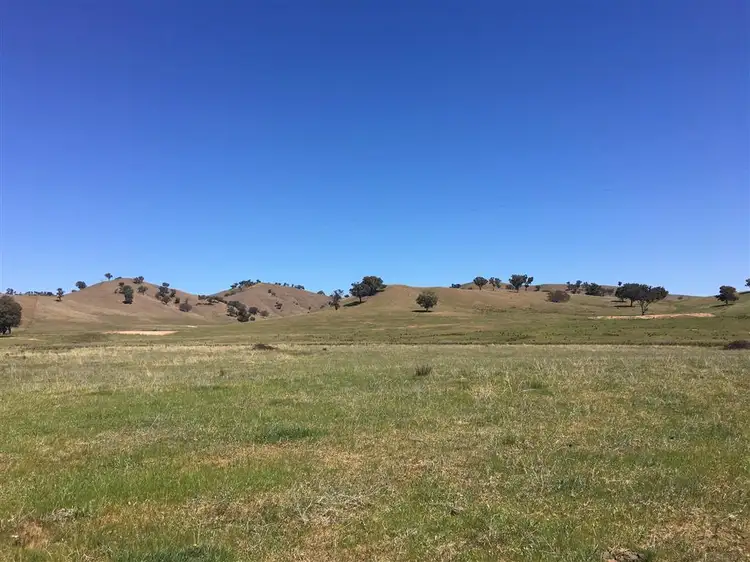 Fifth view of Homely land listing, Lot 5 Readfords Road, Gundagai NSW 2722