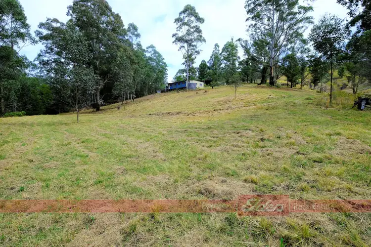 Second view of Homely rural property listing, 637 Dees Road, Belbora NSW 2422