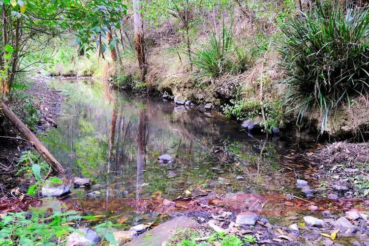 Third view of Homely rural property listing, 637 Dees Road, Belbora NSW 2422