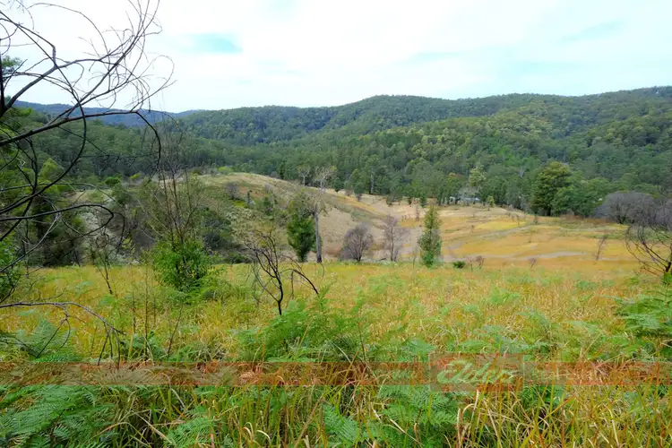 Sixth view of Homely rural property listing, 637 Dees Road, Belbora NSW 2422