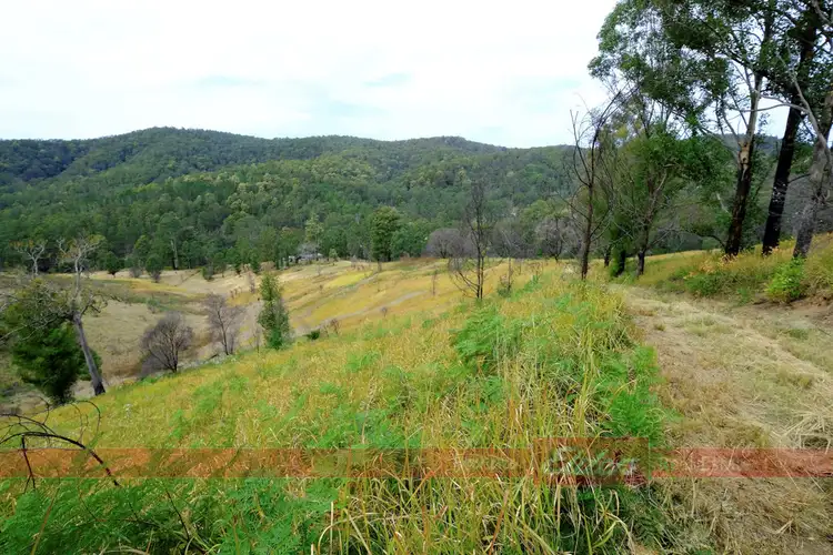 Seventh view of Homely rural property listing, 637 Dees Road, Belbora NSW 2422