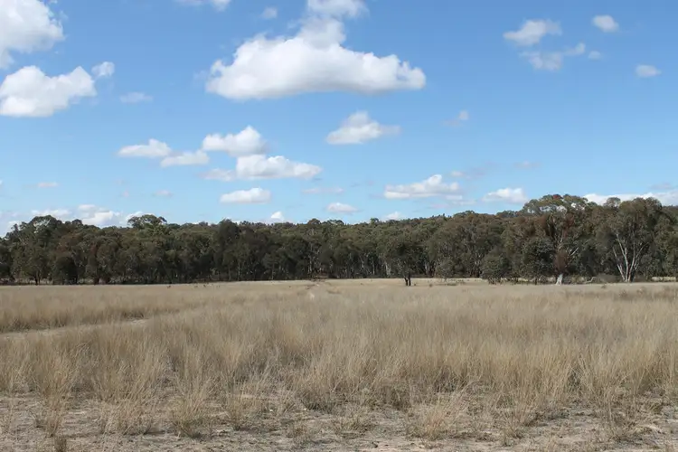 Main view of Homely rural property listing, 1781 Blue Springs Road, Gulgong NSW 2852