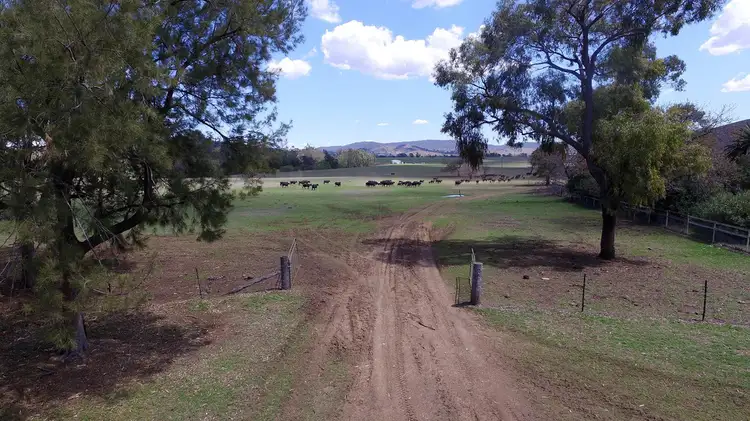 Third view of Homely rural property listing, 'Wittagoona' 413 Wittagoona Road, Manilla NSW 2346