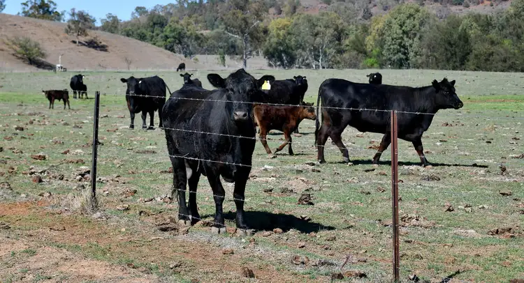 Fourth view of Homely rural property listing, 'Wittagoona' 413 Wittagoona Road, Manilla NSW 2346