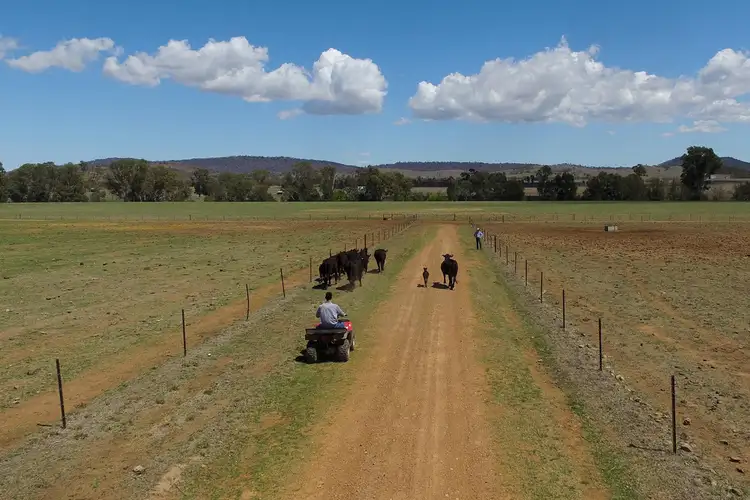 Sixth view of Homely rural property listing, 'Wittagoona' 413 Wittagoona Road, Manilla NSW 2346