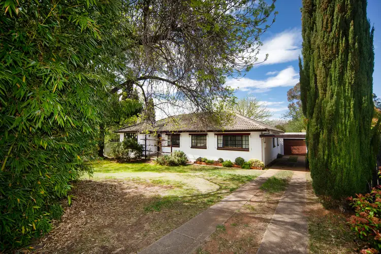 Main view of Homely house listing, 81 Allan Street, Curtin ACT 2605
