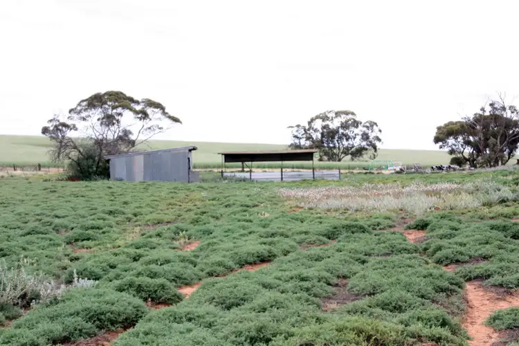 Sixth view of Homely house listing, 851 Browns Well Highway, Loxton SA 5333