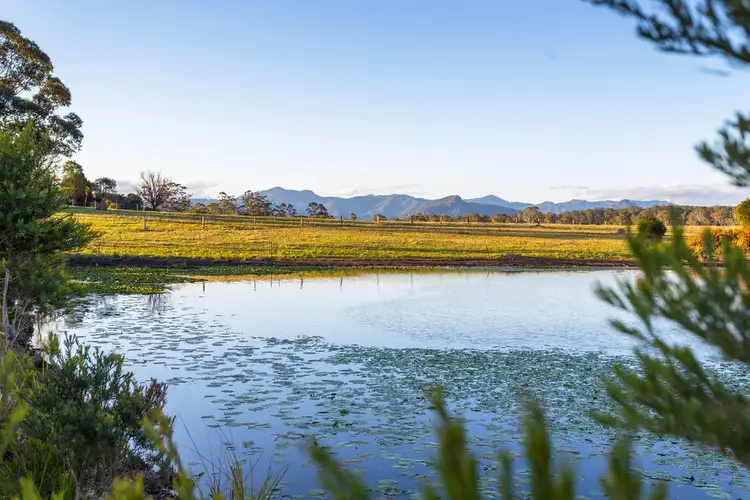 Fourth view of Homely rural property listing, CedarView 1027 Cedar Party Road, Wingham NSW 2429