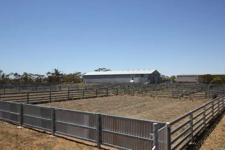Seventh view of Homely rural property listing, 3313 Bimbijy Road, Beacon WA 6472